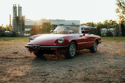 Alfa Romeo Spider 122.500 km 16.000 &euro; Bad Schönborn 76669