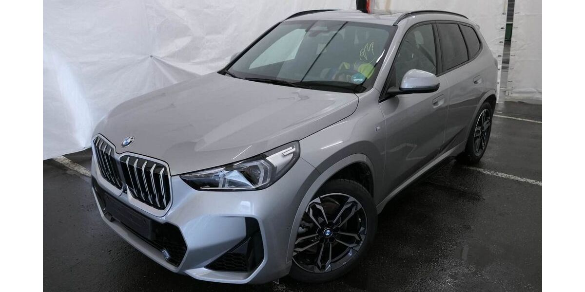BMW X1 24.690 km 52.880 &euro; Speyer 67346