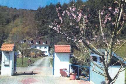 Haus Oberzent / Beerfelden Beerfelden - 14 Zimmer, 580 m&sup2;, 950.000&euro; | Angebot:25972830