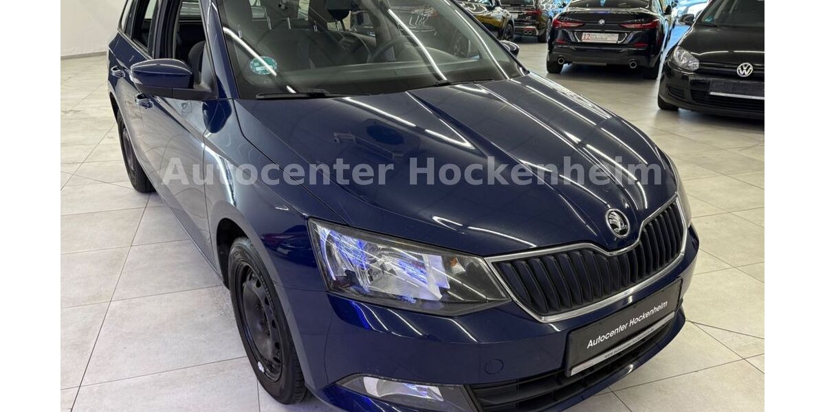 Skoda Fabia 306.355 km 2.999 &euro; Hockenheim 68766