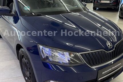 Skoda Fabia 306.355 km 3.300 &euro; Hockenheim 68766