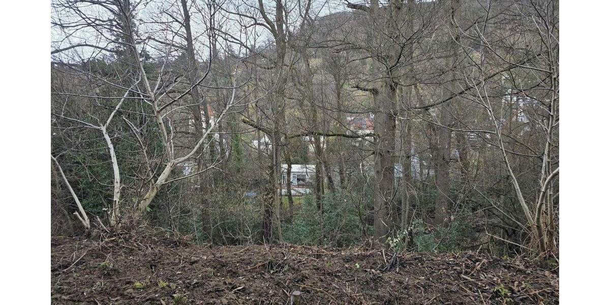 Mehrfamilienhaus, Wohnhaus Heidelberg Handschuhsheim - 8 Zimmer, 231 m&sup2;, 970.000&euro; | Angebot:25717522