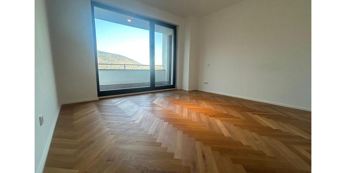Doppelhaushälfte Heidelberg Peterstal - 6 Zimmer, 168 m&sup2;, 1.490.000&euro; | Angebot:26505728