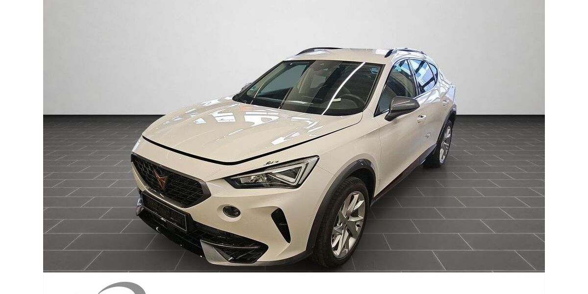 Cupra Formentor 19.738 km 22.950 &euro; Ladenburg 68526