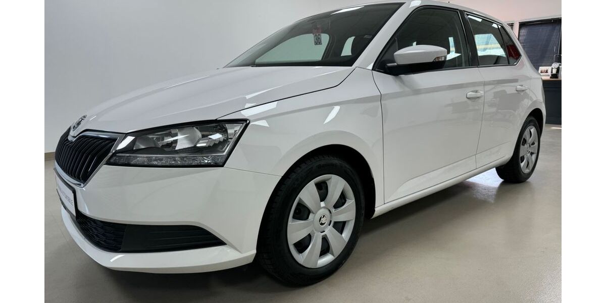 Skoda Fabia 119.785 km 10.890 &euro; Sandhausen ( bei Heidelberg ) 69207
