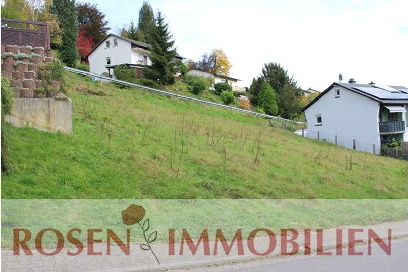 Grundstück zu verkaufen in Wald-Michelbach 78.000 € 650 m²