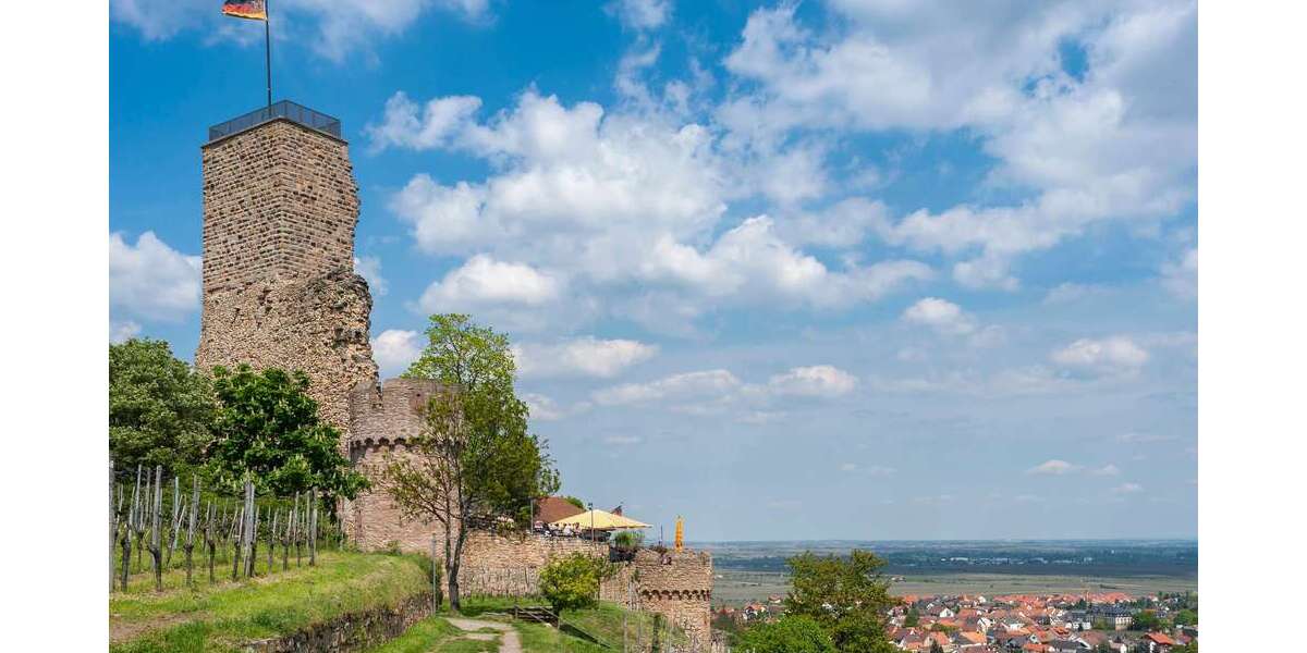 Kapitalanlage in 1A Lage an den Toren Schwetzingen`s mit Renditeerweiterungs Potential - Mehrfamilienhaus, Wohnhaus Schwetzingen | Angebot:27082781