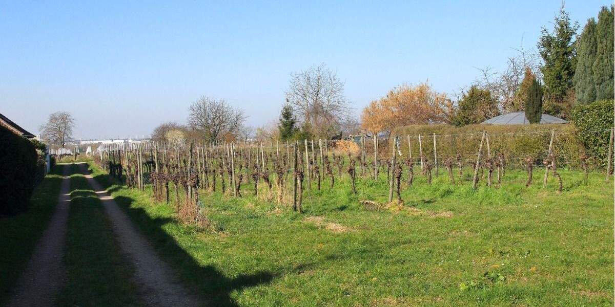 Einfamilienhaus Hirschberg an der Bergstraße - Leutershausen Leutershausen - 4 Zimmer, 152 m&sup2;, 1.980&euro; | Angebot:25908845