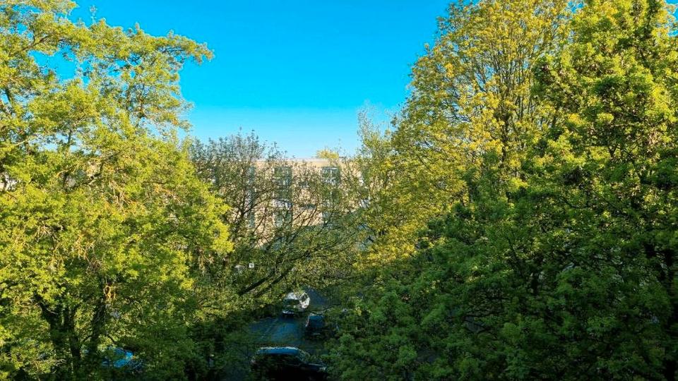 Etagenwohnung Mannheim Käfertal - 3 Zimmer, 78 m&sup2;, 195.000&euro; | Angebot:26228149