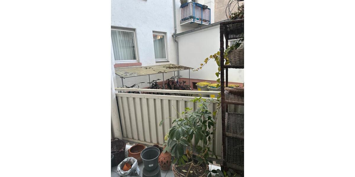 Erdgeschoßwohnung Mannheim Innenstadt - 2 Zimmer, 62 m&sup2;, 780&euro; | Angebot:26404883