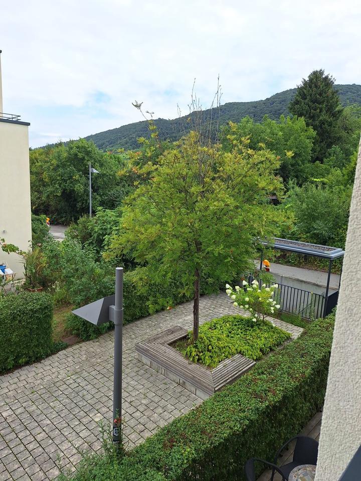 Passivhaus - in zentraler Feldrandlage Dossenheim