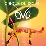 Flying-High Upgrade | Cirque du Soleil - OVO