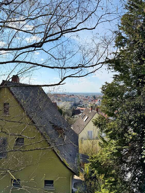 Grundstück zu verkaufen in Weinheim 395.000 € 316 m²
