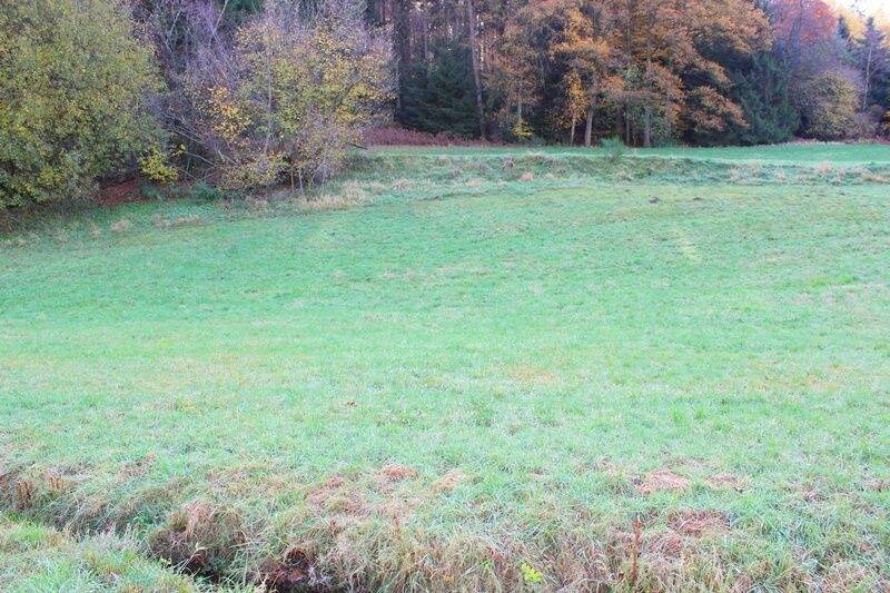 Grundstück Wald-Michelbach Kocherbach - 118.000&euro; | Angebot:23956533