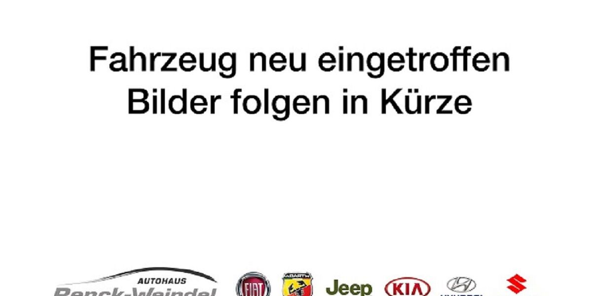 Fiat 500 65.387 km 11.989 &euro; Speyer 67346
