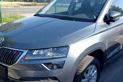 Skoda Karoq 171.000 km 17.136 € Heidelberg 69123