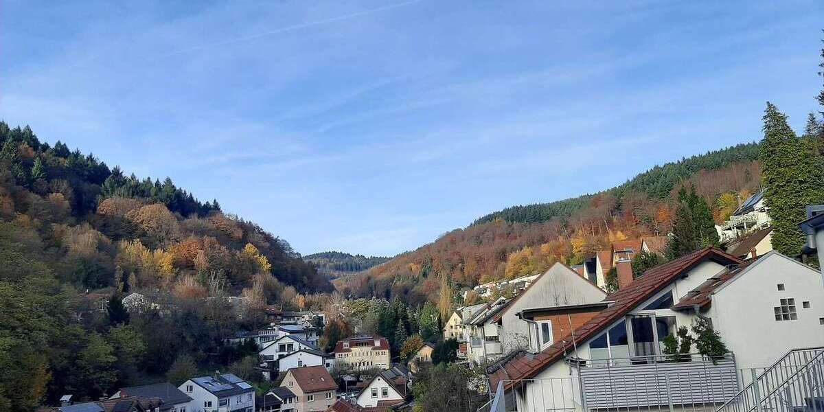 Etagenwohnung Heidelberg Peterstal - 4 Zimmer, 117 m&sup2;, 1.750&euro; | Angebot:25235242