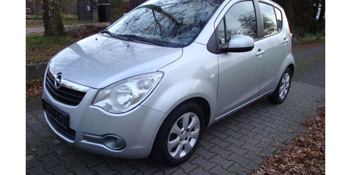 Opel Agila 55.700 km 5.999 € Lorsch 64653