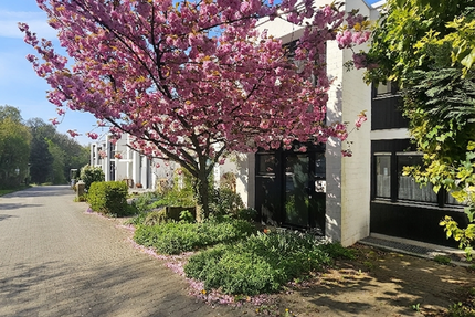 Haus Heidelberg Boxberg - 5.5 Zimmer, 170 m&sup2;, 445.000&euro; | Angebot:26856098