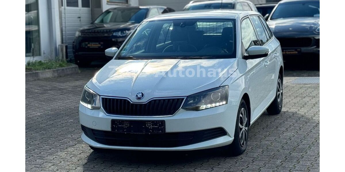 Skoda Fabia 168.000 km 6.599 &euro; Wiesloch 69168