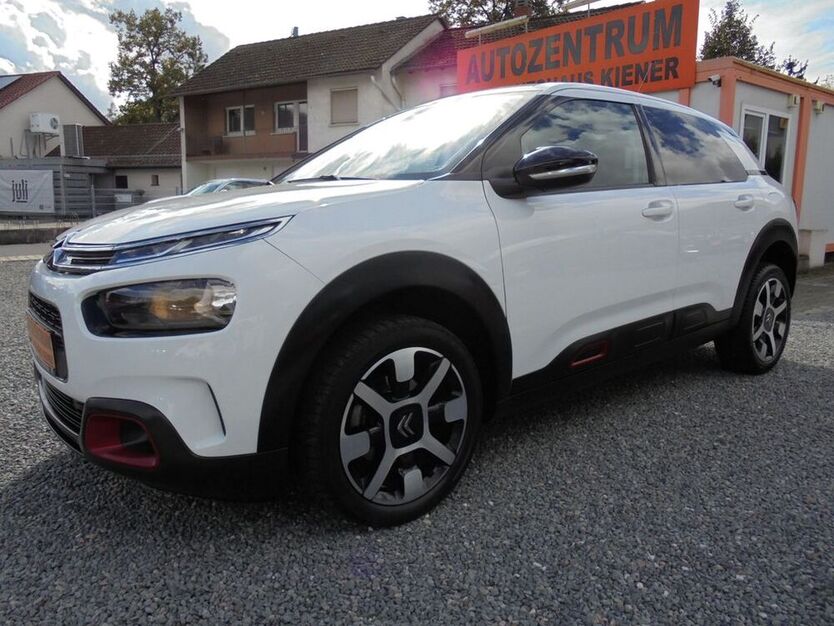C4 Cactus