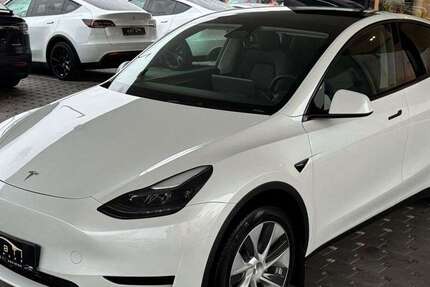 Tesla Model Y 50.000 km 31.500 &euro; Ludwigshafen 67063