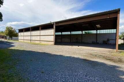 Halle in Speyer 999.999 € 450 m² zimmer