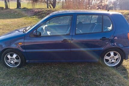 VW Polo