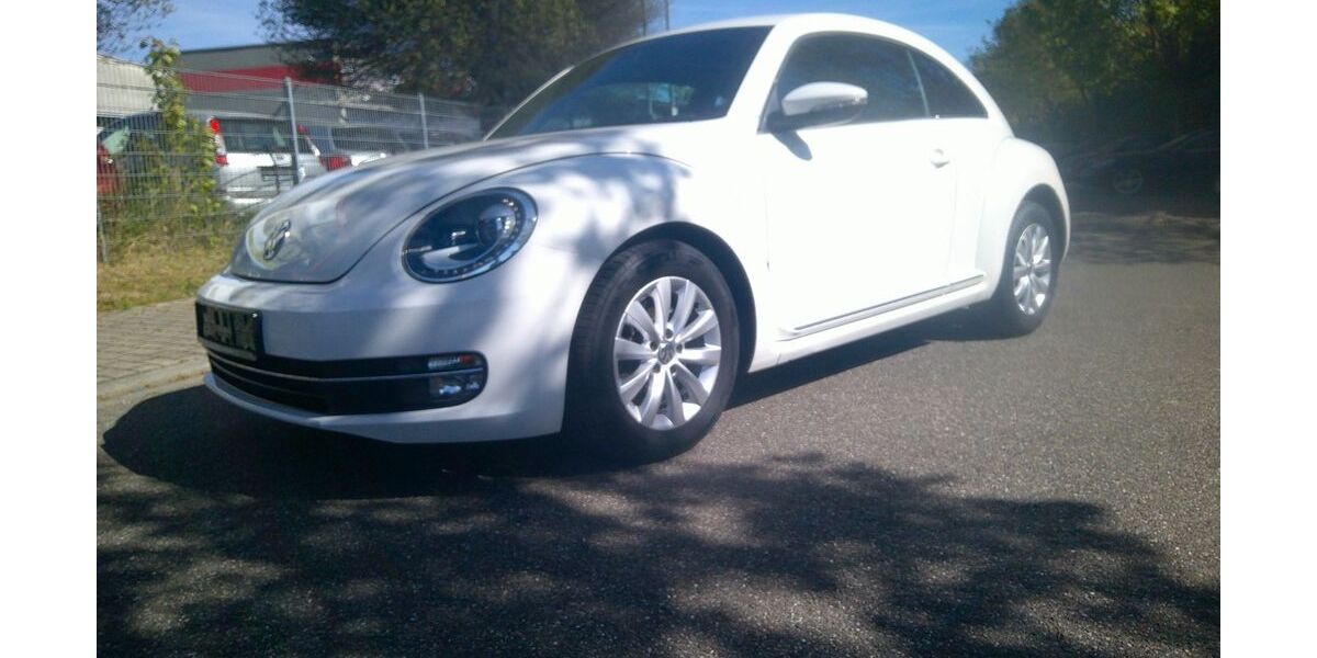 VW Beetle 174.100 km 6.200 &euro; Walldorf 69190
