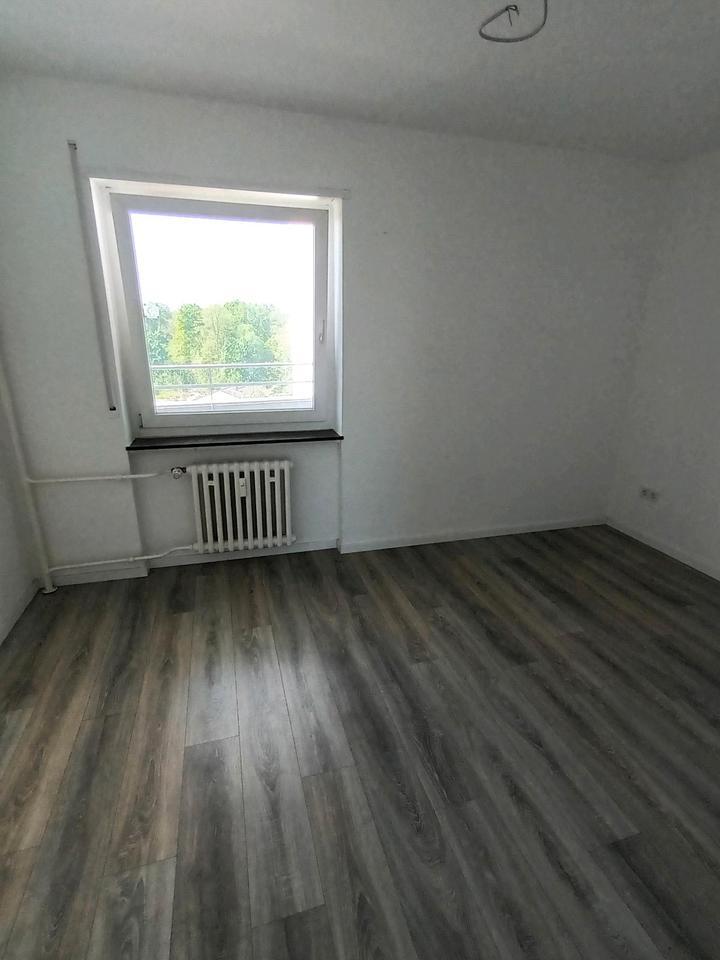 3 ZKB in Limburgerhof (Sportplatz, Waldrand)