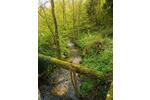 Gewerbeobjekt Wald-Michelbach Michelbach - 575&euro; | Angebot:25875592