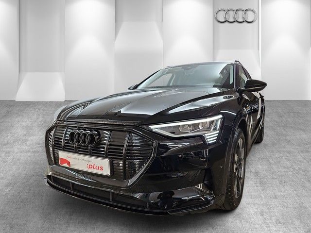 Audi e-tron 31.828 km 50.970 &euro; Speyer 67346