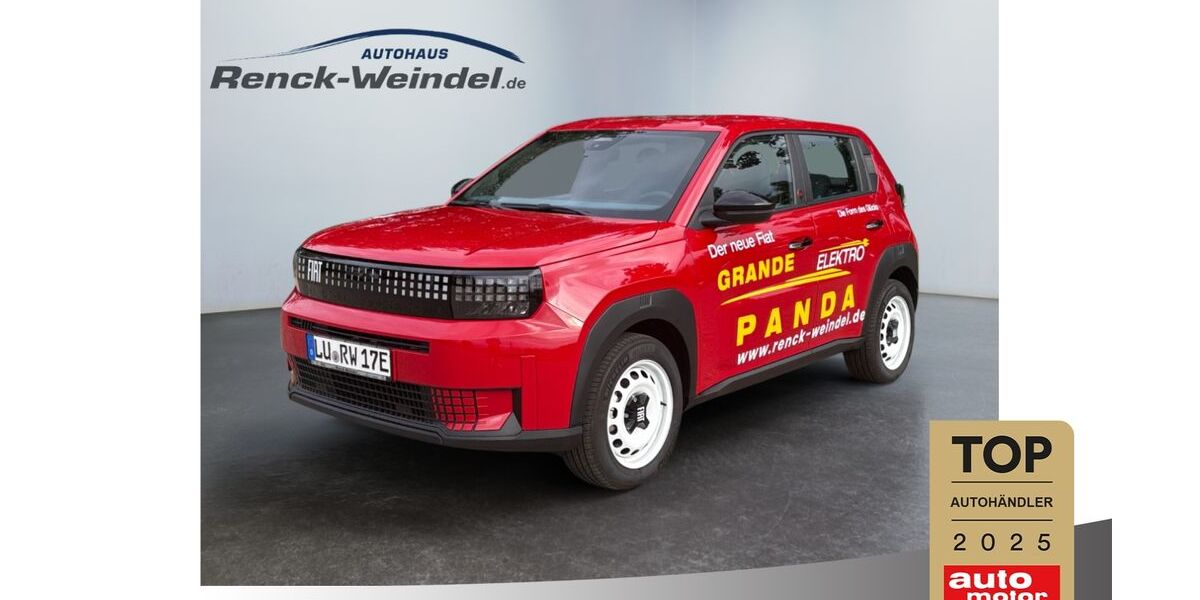 Fiat Grande Panda 2.818 km 22.989 &euro; Speyer 67346