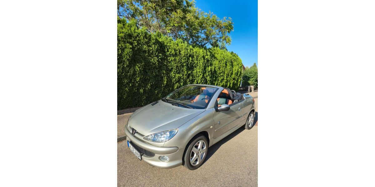 Peugeot 206 95.000 km 3.999 &euro; Wilhelmsfeld 69259