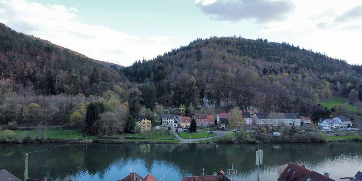 Mehrfamilienhaus, Wohnhaus Neckarsteinach Neckarhausen - 2 Zimmer, 700 m&sup2;, 1.051.000&euro; | Angebot:26105508
