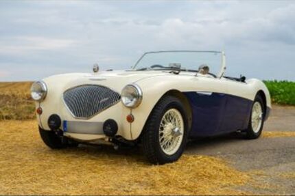 Austin Healey Andere 5.000 km 64.000 € Bad Rappenau 74906