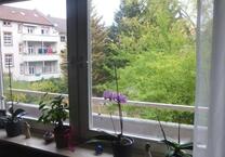 Schöne ruhige 1 Zi.-Wohnung Neuenheim