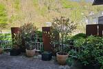 Einfamilienhaus Gorxheimertal - 5 Zimmer, 182 m&sup2;, 542.000&euro; | Angebot:27086872