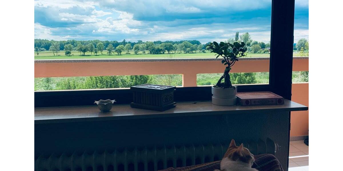 Etagenwohnung Hockenheim - 3 Zimmer, 81 m&sup2;, 269.950&euro; | Angebot:26356696