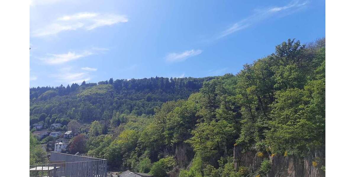 Etagenwohnung Heidelberg Peterstal - 4 Zimmer, 117 m&sup2;, 570.000&euro; | Angebot:26333473
