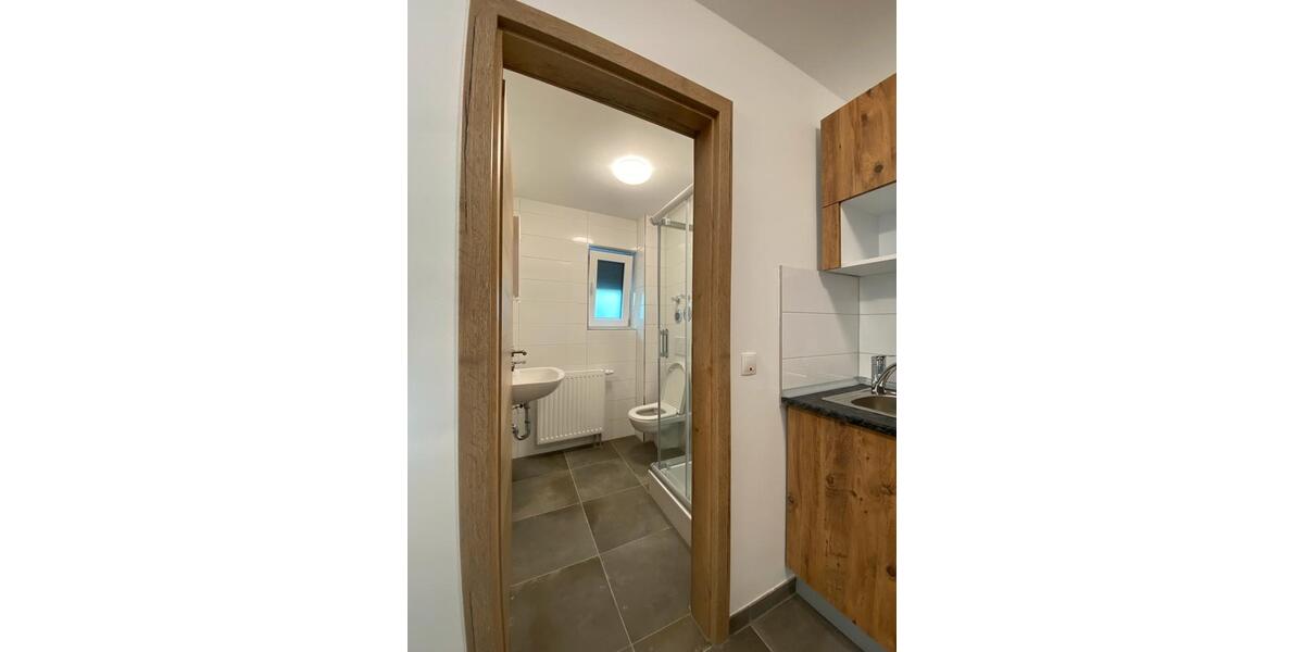 Etagenwohnung Ludwigshafen am Rhein Ludwigshafen-Hemshof - 1 Zimmer, 25 m&sup2;, 750&euro; | Angebot:26536476