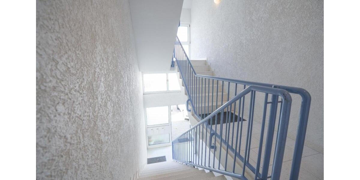 Erstbezug nach Modernisierung direkt am Maudacher Bruch-Ideal für Spaziergänge mit Hund 2 zimmer