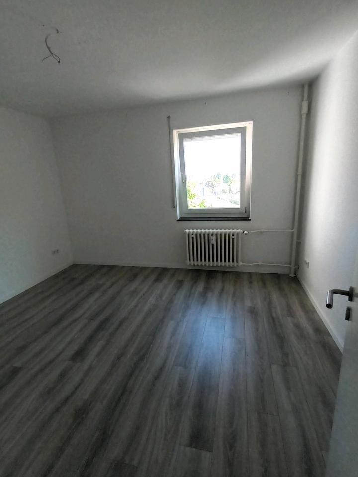 3 ZKB in Limburgerhof (Sportplatz, Waldrand)