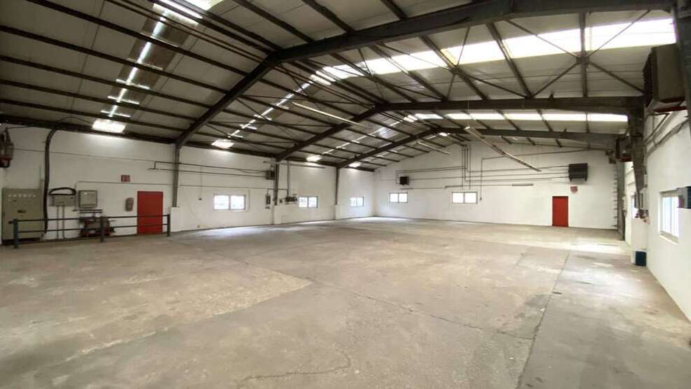 Halle in Mutterstadt 3.100 € 470 m²