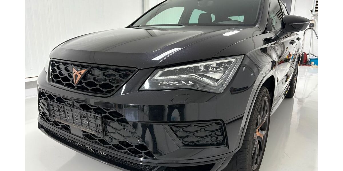 Cupra Ateca 134.756 km 20.850 &euro; Sinsheim 74889