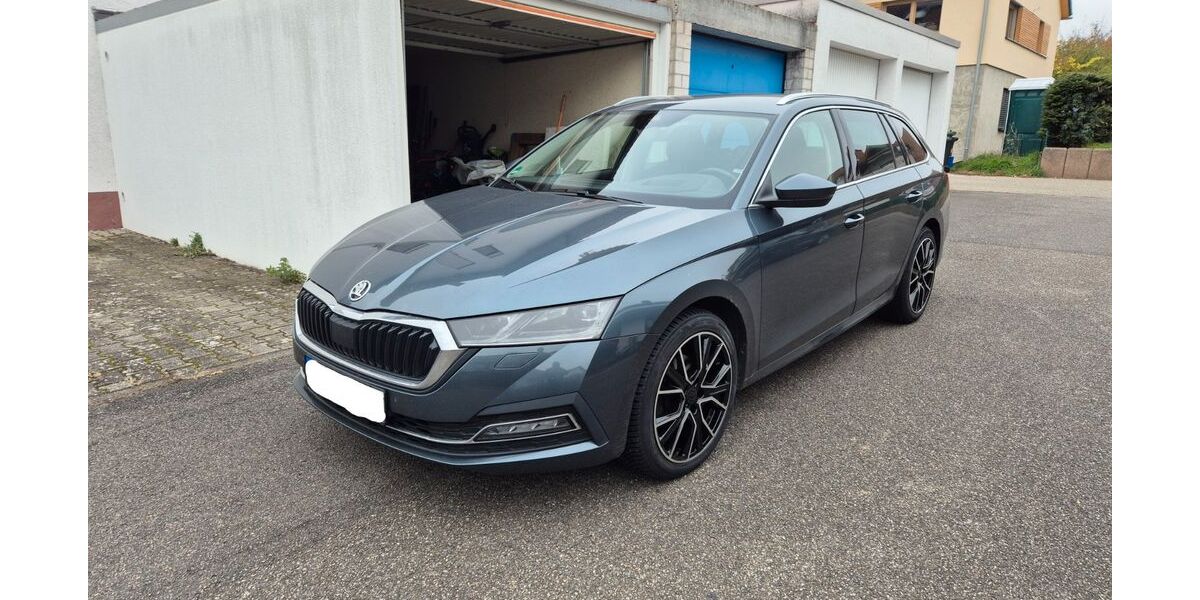 Skoda Octavia 173.000 km 19.000 € Wiesloch 69168
