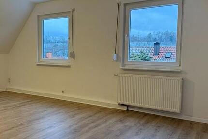 Schöne helle Dachgeschosswohnung - neu renoviert 2.5 zimmer
