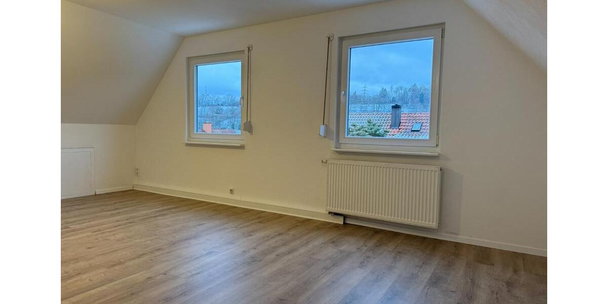 Schöne helle Dachgeschosswohnung - neu renoviert 2.5 zimmer
