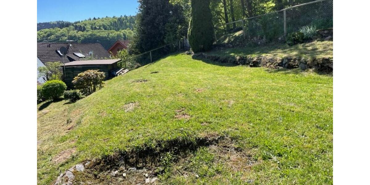 Charmantes Haus am Waldrand von Wilhelmsfeld zimmer