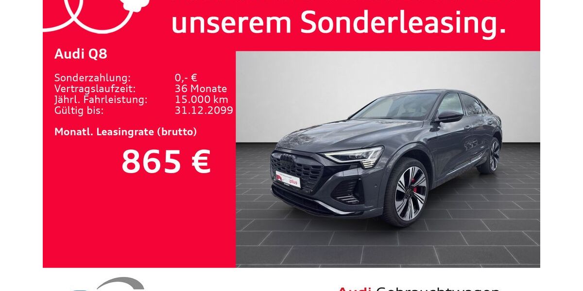 Audi Q8 57.817 km 52.900 &euro; Ludwigshafen 67063